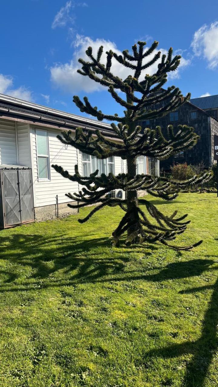 Cabanas Bosque Sur Puerto Varas Eksteriør billede